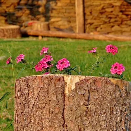 Guest house Family Byalata Kashta