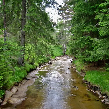 Family Byalata Kashta 3*