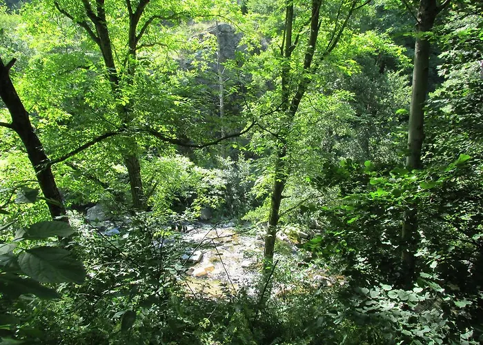 ゲストハウス Family Byalata Kashta