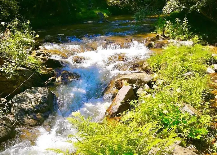 Family Byalata Kashta ゲストハウス Kovačevica