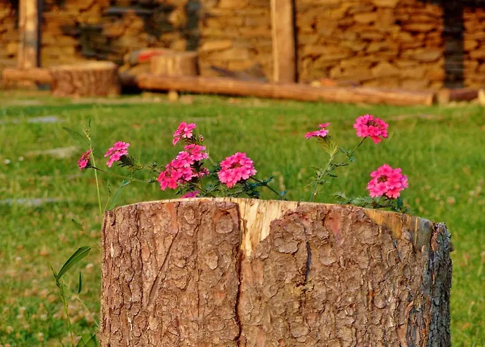 Guest house Family Byalata Kashta