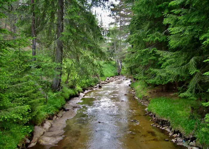 Family Byalata Kashta 3*